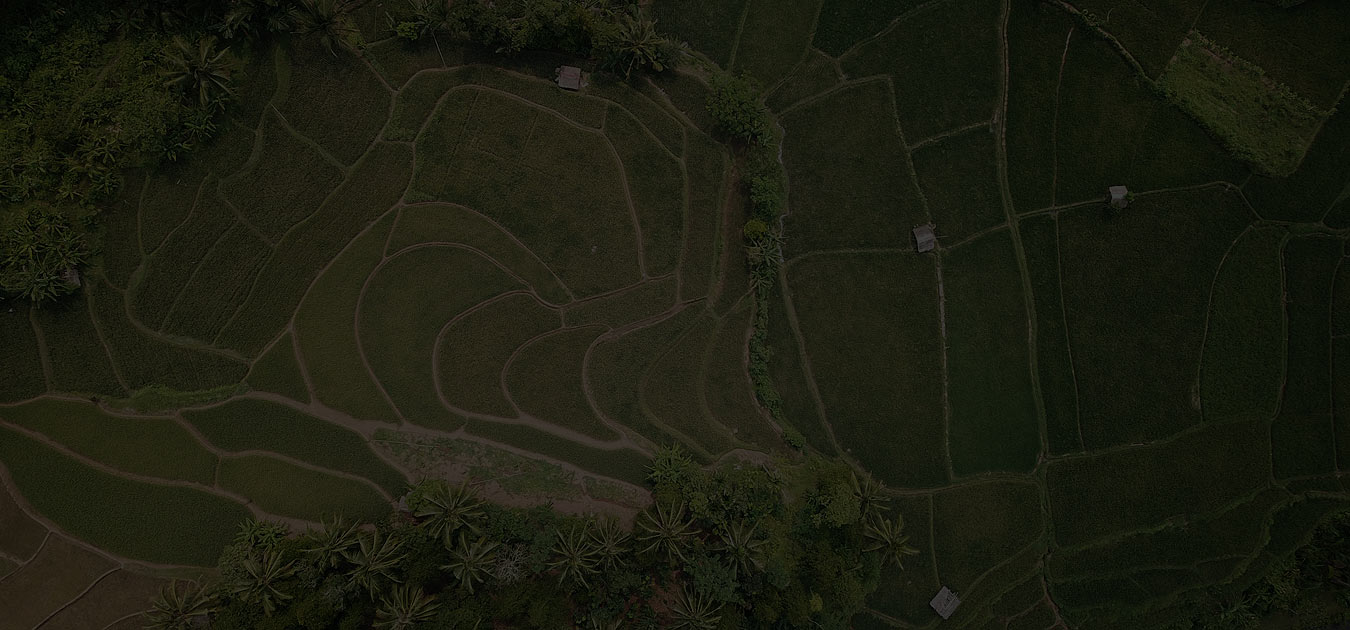 Mapeamento topográfico - DroneFocus